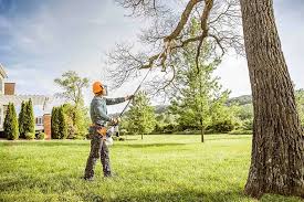 Best Grass Overseeding  in Fruitvale, CO