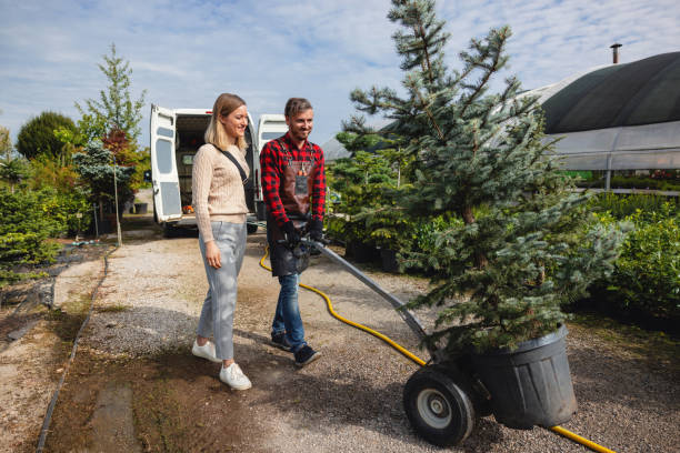 Best Lawn Watering Services  in Fruitvale, CO